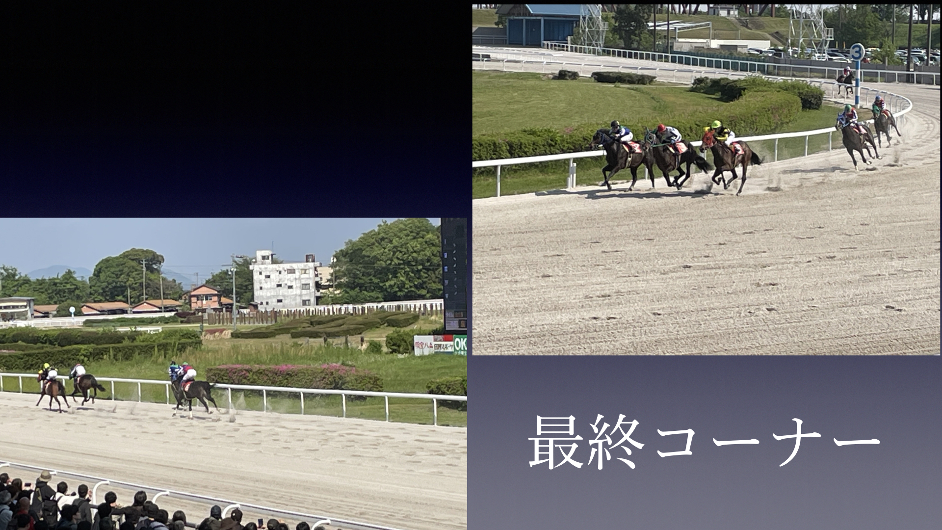 カサマツ競馬場レポート４
